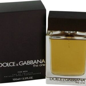 dolce & cabbana the one